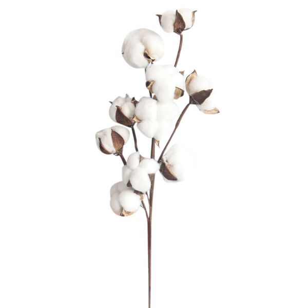 artificial flower 21 inch naturally dried cotton stems farmhouse style filler floral decor natural cotton rayon mix 19aug16
artificial flower 21 inch naturally dried cotton stems farmhouse style filler floral decor natural cotton rayon mix 19aug16