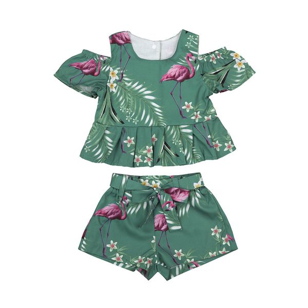 toddler kids baby girls clothes sets fashion summer flamingo 2pcs floral shoulderless t-shirts bow belt shorts sets 6m-4y, White
toddler kids baby girls clothes sets fashion summer flamingo 2pcs floral shoulderless t-shirts bow belt shorts sets 6m-4y, White