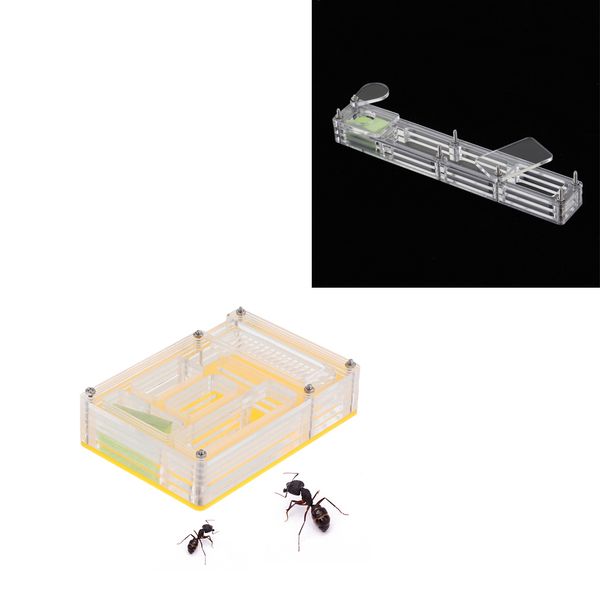 2 pcs small clear insect ant housing acrylic nest ant feed farm formicarium box
2 pcs small clear insect ant housing acrylic nest ant feed farm formicarium box