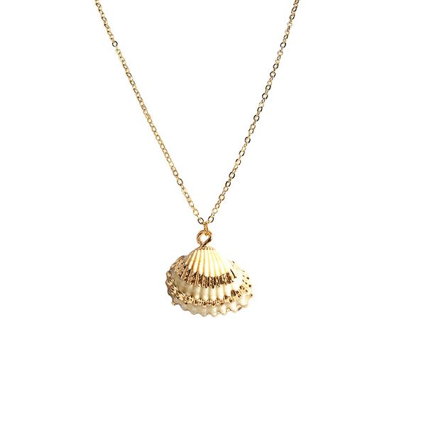 new natural shell-wrapped gold necklace for women natural cowrie shell pendant with double bails gold trim chain necklace, Silver
new natural shell-wrapped gold necklace for women natural cowrie shell pendant with double bails gold trim chain necklace, Silver