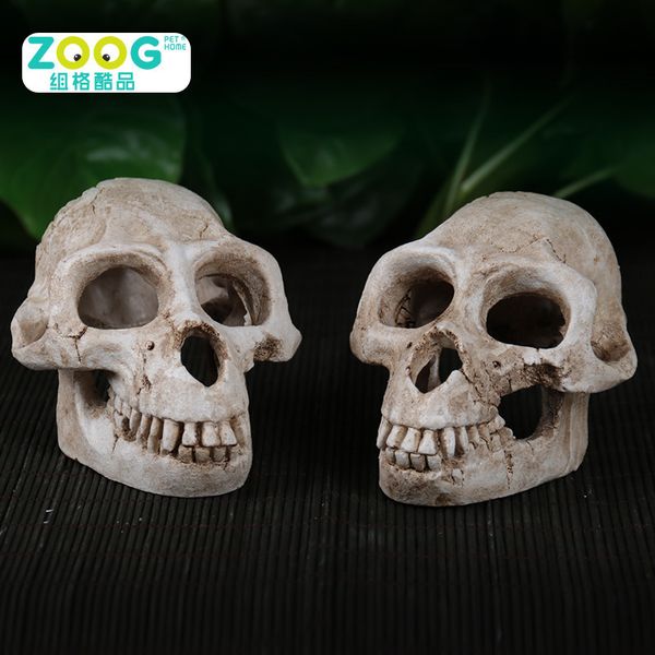 environmental protection resin monkey skull avoid cave man human skeleton head lizard shaitai crawler raise box landscaping
environmental protection resin monkey skull avoid cave man human skeleton head lizard shaitai crawler raise box landscaping