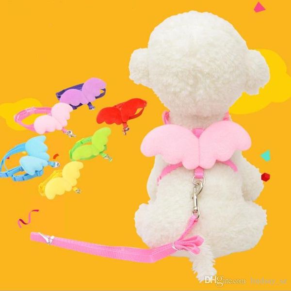 cute angel wing pet поводки и оейники енок leads коки конѬђкоѬ ѬегђлиѬђема harness pet пѬи
cute angel wing pet поводки и оейники енок leads коки конѬђкоѬ ѬегђлиѬђема harness pet пѬи