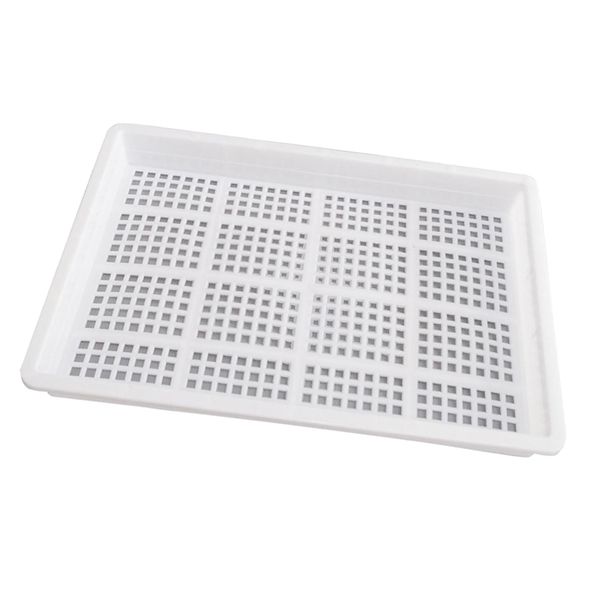 food grade grow seedlings tray plant growing trays plastic material gardening supplies
food grade grow seedlings tray plant growing trays plastic material gardening supplies