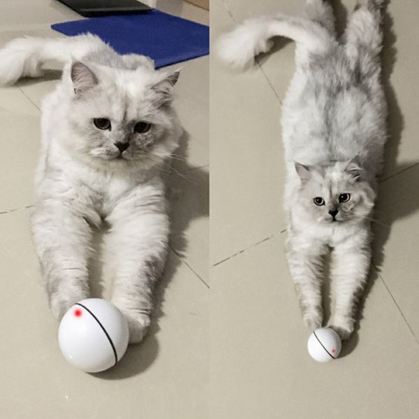 pet cat toy led light ball usb charging smart funny cat toy automatic rolling ball pet supplies
pet cat toy led light ball usb charging smart funny cat toy automatic rolling ball pet supplies