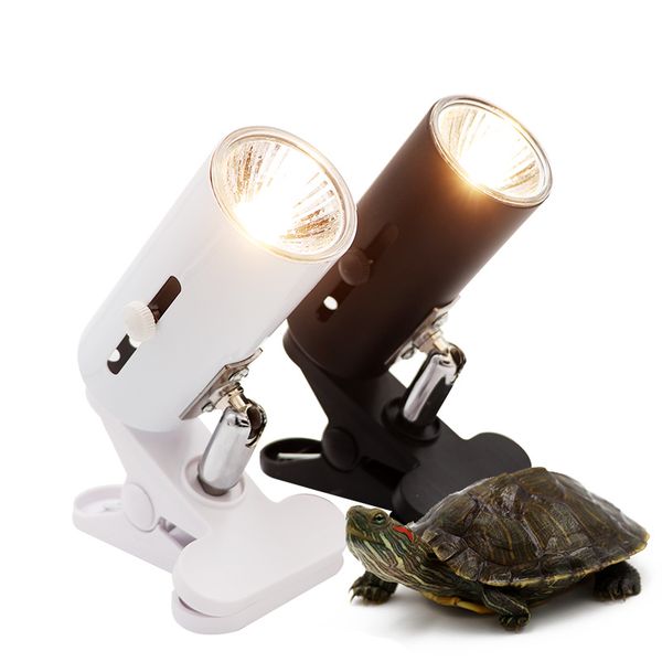 pet reptile отопление лампы uva + uvb clip-на керамический свет держатель черепаха баскин уф лампы отопления set черепахи ящерицы освещения
pet reptile отопление лампы uva + uvb clip-на керамический свет держатель черепаха баскин уф лампы отопления set черепахи ящерицы освещения