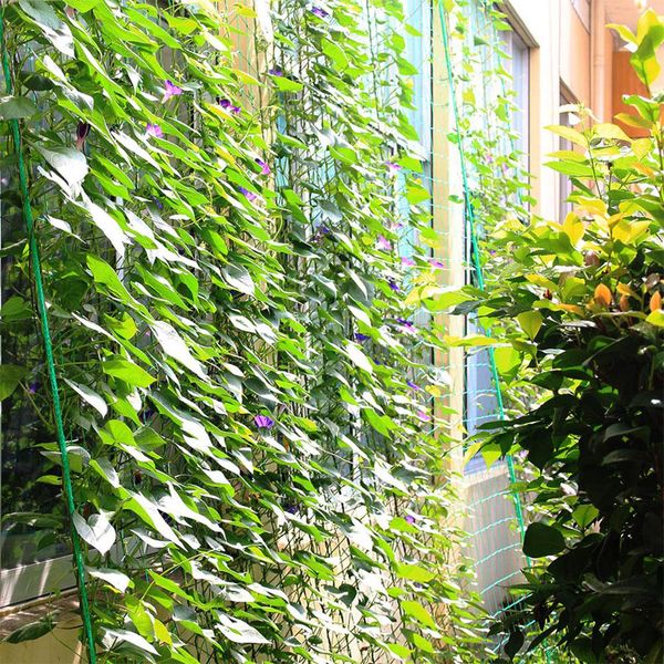 27-пряди укрепить растение лиана поддержки вен бандаж растений садово-огородный инвентарь
27-пряди укрепить растение лиана поддержки вен бандаж растений садово-огородный инвентарь