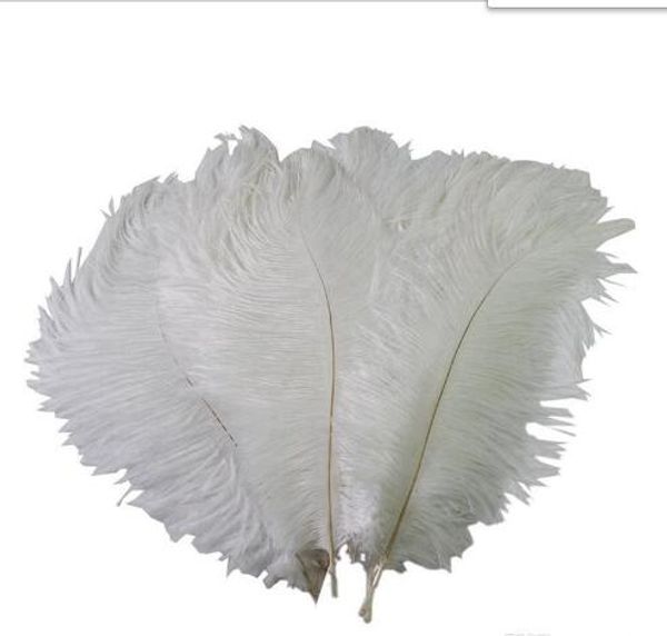 colorful 10-12 inch(25-30 cm) ostrich feather plumes for wedding centerpiece wedding party event decor festive decoration gb834
colorful 10-12 inch(25-30 cm) ostrich feather plumes for wedding centerpiece wedding party event decor festive decoration gb834