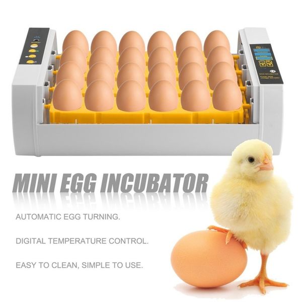 practical 24 eggs large capacity mini incubator for chicken poultry quail turkey eggs home use automatic egg turning drop ship
practical 24 eggs large capacity mini incubator for chicken poultry quail turkey eggs home use automatic egg turning drop ship