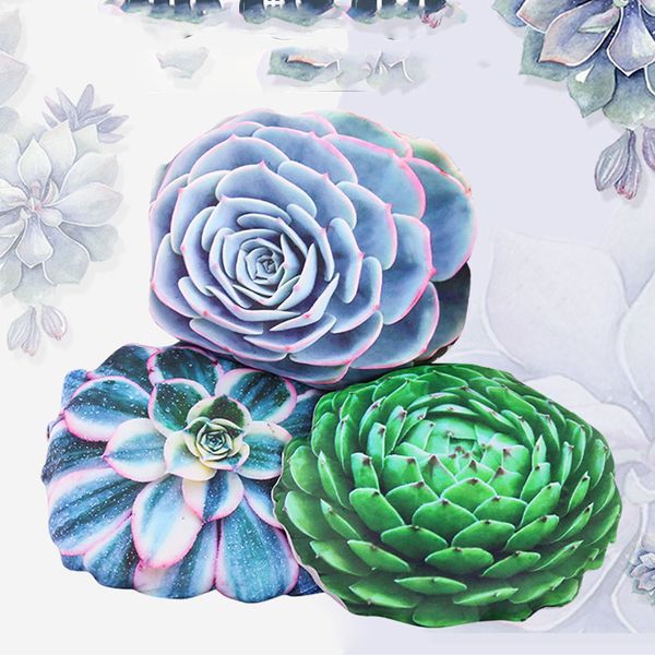 soft simulated succulent plants cactus plush toy stuffed cute pillow sofa cushion for kids child birthday gift 50cm
soft simulated succulent plants cactus plush toy stuffed cute pillow sofa cushion for kids child birthday gift 50cm