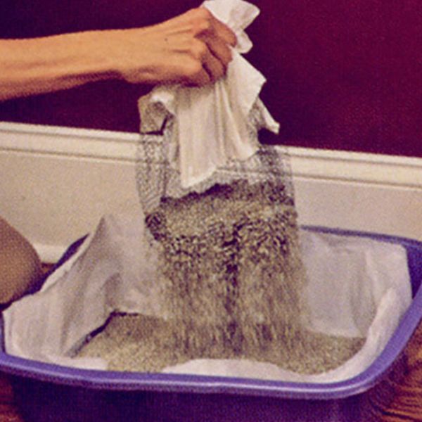 10шт кошки поставок лоток вкладыши любимчик eco содружественный руками бесплатно полузакрытых просеивания многоразовые эластичные фильтр кот
10шт кошки поставок лоток вкладыши любимчик eco содружественный руками бесплатно полузакрытых просеивания многоразовые эластичные фильтр кот