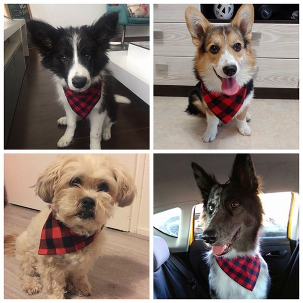 pet products dog bandana collar adjustable cat neck scarf pu leather collars for small puppy medium big dogs jw0025 dog collars leashes
pet products dog bandana collar adjustable cat neck scarf pu leather collars for small puppy medium big dogs jw0025 dog collars leashes
