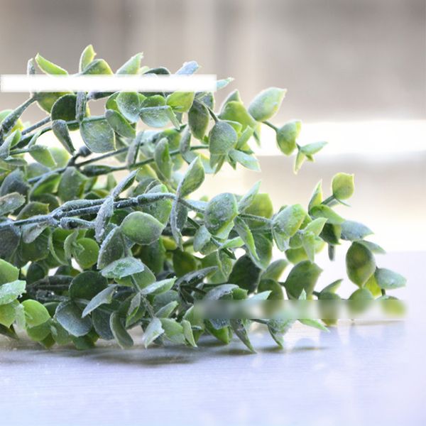 7 branches/bouquet artificial eucalyptus succulent plant diy winter fake leaves white green wedding home decoration craft flower
7 branches/bouquet artificial eucalyptus succulent plant diy winter fake leaves white green wedding home decoration craft flower