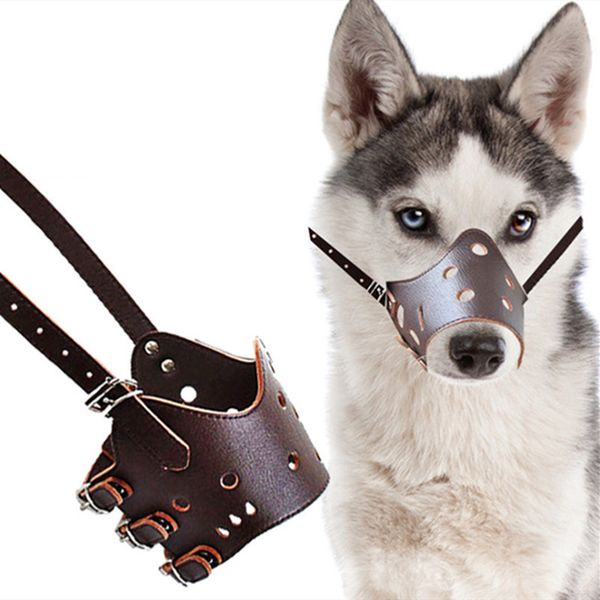 wholesale dog collars leashes pet supplies leather adjustable hole pu avoid dog bites solf comfortable sell stylish 0139
wholesale dog collars leashes pet supplies leather adjustable hole pu avoid dog bites solf comfortable sell stylish 0139