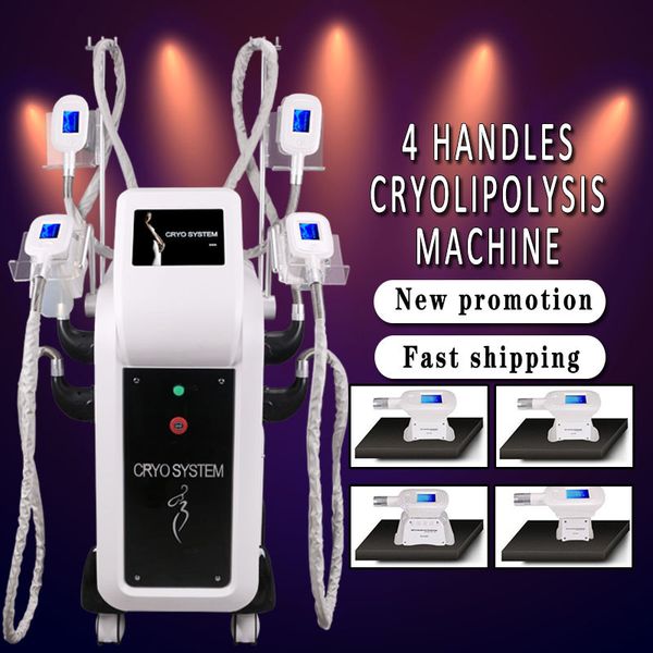 2019 cryolipolysis жира замораживание жира тела для похудения система сокращения целлюлита ce утверждение красоты машина
2019 cryolipolysis жира замораживание жира тела для похудения система сокращения целлюлита ce утверждение красоты машина