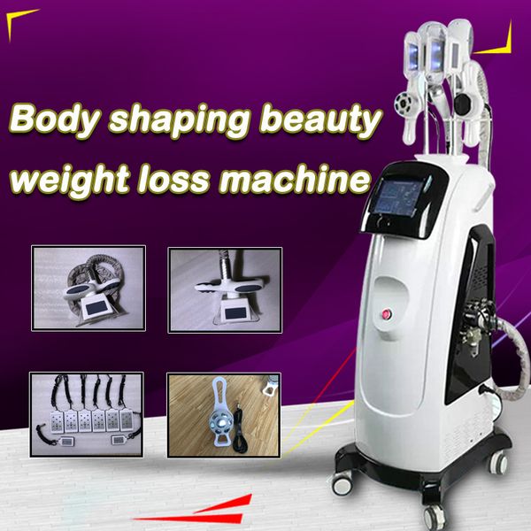 2019 popular fat ing cryolipolysis cold body sculpting fat e slimming machine for salon use
2019 popular fat ing cryolipolysis cold body sculpting fat e slimming machine for salon use