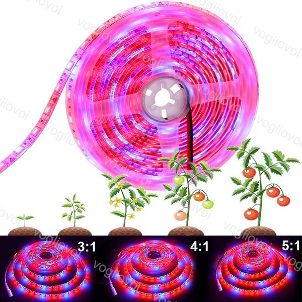 grow lights full spectrum led strip 5m/roll 300 leds 5050 chip fitolampy waterproof for indoor greenhouse hydroponic plant eub
grow lights full spectrum led strip 5m/roll 300 leds 5050 chip fitolampy waterproof for indoor greenhouse hydroponic plant eub
