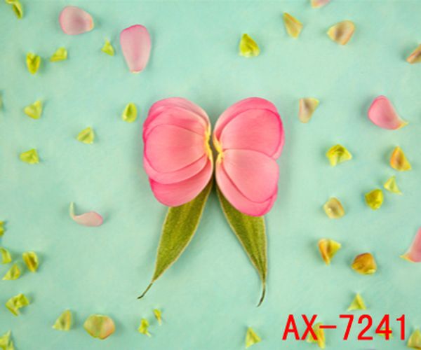 graphy backdrops custom portrait cloth digital printed p props p studio background ax-7241
graphy backdrops custom portrait cloth digital printed p props p studio background ax-7241