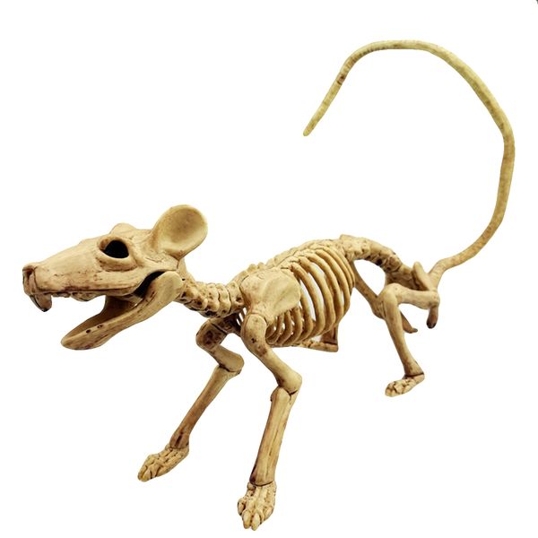 new bat/spider skeleton skull animal skeleton model bat bones creepy halloween party decoration fun bone skeleton sale
new bat/spider skeleton skull animal skeleton model bat bones creepy halloween party decoration fun bone skeleton sale