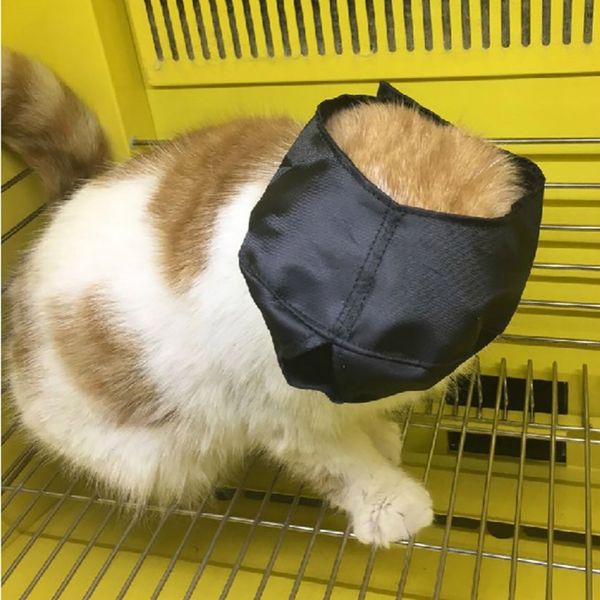 breathable nylon cat muzzle anti bite kitten mouse muzzles for bitting bath beauty travel tool with hole cats grooming supplies other cat su
breathable nylon cat muzzle anti bite kitten mouse muzzles for bitting bath beauty travel tool with hole cats grooming supplies other cat su