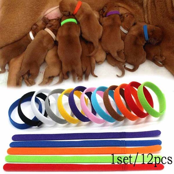 12 pcs/set puppy newborn pets identify collars adjustable nylon small pet dog collars kitten necklace whelping puppy
12 pcs/set puppy newborn pets identify collars adjustable nylon small pet dog collars kitten necklace whelping puppy