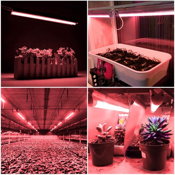 led full-spectrum plant lamp farming household growth lamp plant vegetable fill light color anti-sunlight lamp household lamps
led full-spectrum plant lamp farming household growth lamp plant vegetable fill light color anti-sunlight lamp household lamps