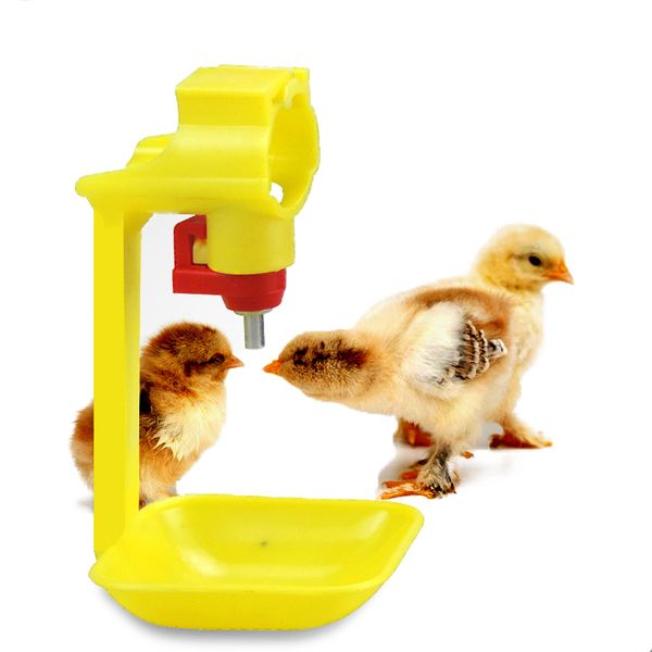 20 pcs poultry feeder water nipple dinking cups bird chicken duck quail drinker hanging cups poultry feeding tools
20 pcs poultry feeder water nipple dinking cups bird chicken duck quail drinker hanging cups poultry feeding tools