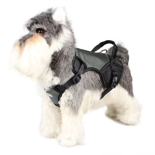 nylon mesh vest harness for dogs puppy collar cat pet dog chest strap leash adjustable soft breathable dog harness
nylon mesh vest harness for dogs puppy collar cat pet dog chest strap leash adjustable soft breathable dog harness