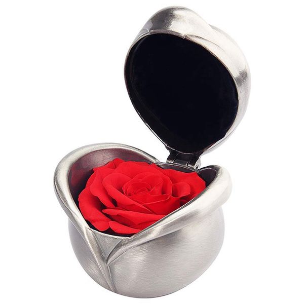 mother's day flowers,preserving flower roses,never wife roses,upscale impression flowers,women girls,sisters,valentine's day,ann, Pink;blue
mother's day flowers,preserving flower roses,never wife roses,upscale impression flowers,women girls,sisters,valentine's day,ann, Pink;blue