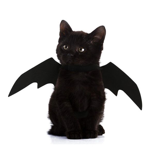 pet cat костюмы крылья летучей мыши вампира черный cute fancy dress up pet dog cat halloween costume подарков другие товары cat
pet cat костюмы крылья летучей мыши вампира черный cute fancy dress up pet dog cat halloween costume подарков другие товары cat
