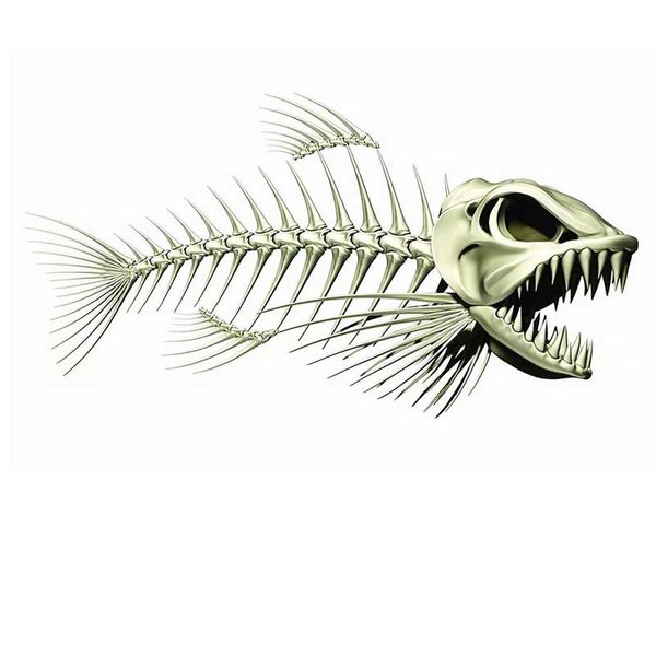 fish car graphic decorative glass car sticker side door decals
fish car graphic decorative glass car sticker side door decals