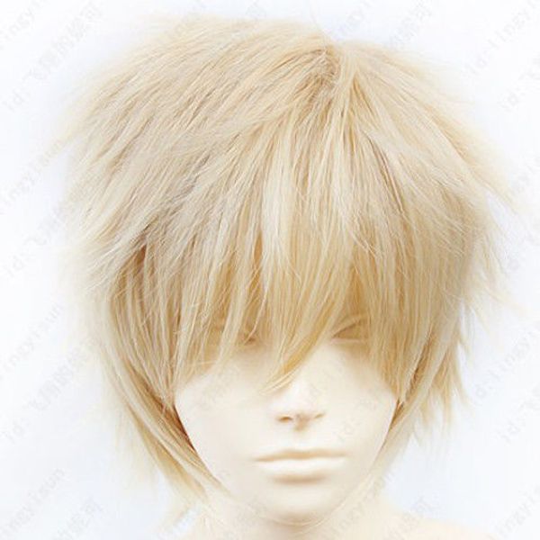48 hakkenden touhou hakken ibun ozaki kaname short gray blond cosplay wig, Black
48 hakkenden touhou hakken ibun ozaki kaname short gray blond cosplay wig, Black
