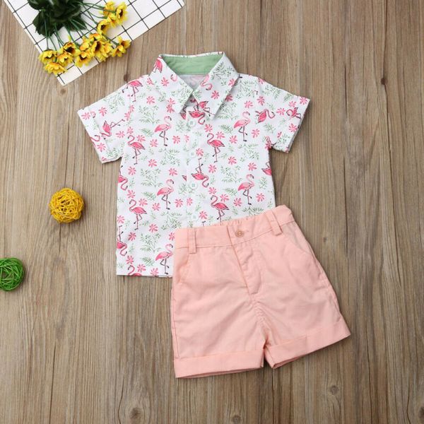 new kids дети набор малышей дети baby boy flamingo gentleman рубашка розовый короткие штаны 2pcs с коротким рукавом печати летняя карман, White
new kids дети набор малышей дети baby boy flamingo gentleman рубашка розовый короткие штаны 2pcs с коротким рукавом печати летняя карман, White