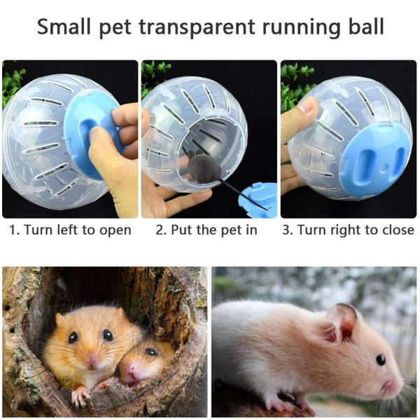 hamster running exercise wheel ball lovely small animal chinchillas rat mice playground pet toys cage supplies
hamster running exercise wheel ball lovely small animal chinchillas rat mice playground pet toys cage supplies