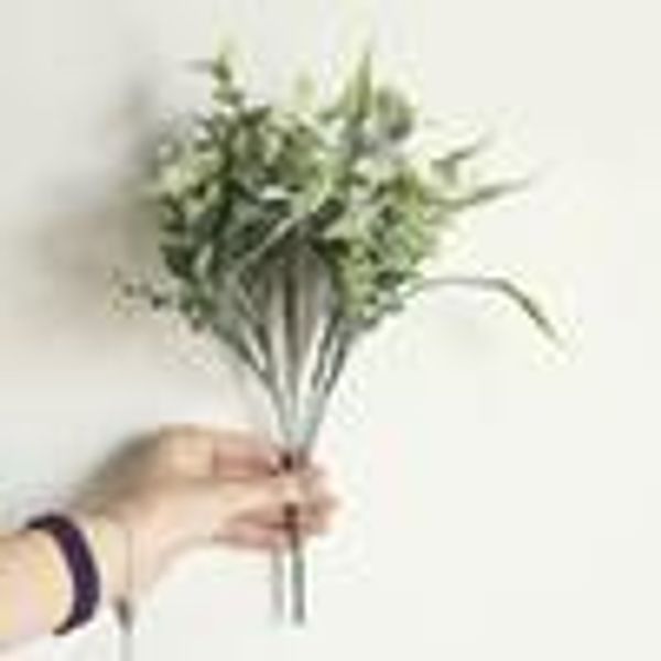 белй оѬанжевй плаикове икђвеннй daisy ве завод главна он декоѬ ен
белй оѬанжевй плаикове икђвеннй daisy ве завод главна он декоѬ ен