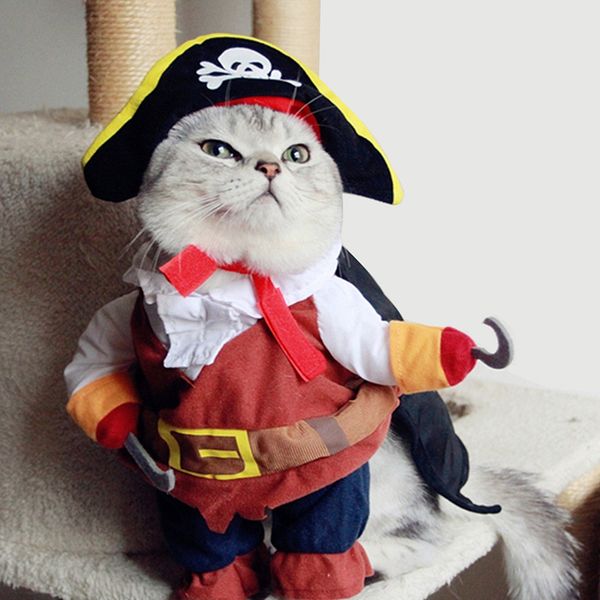 funny pet cat pirate suit clothes for cats halloween kitten costumes corsair clothing dressing up cat party costume suit
funny pet cat pirate suit clothes for cats halloween kitten costumes corsair clothing dressing up cat party costume suit
