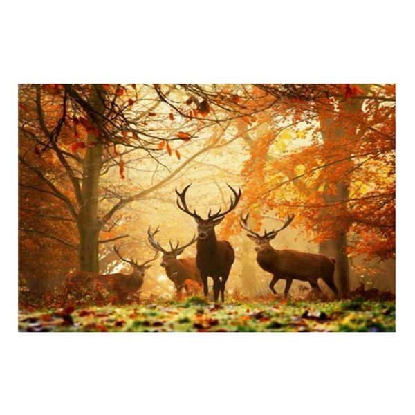 5d deer print diamond pictures room diamond pictures bedroom wall decor
5d deer print diamond pictures room diamond pictures bedroom wall decor