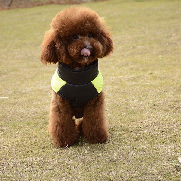 pet warm windproof skiing cotton-padded sleeveless clothes thickening sweatshirt small dogs outdoor thicking vest coat f n1
pet warm windproof skiing cotton-padded sleeveless clothes thickening sweatshirt small dogs outdoor thicking vest coat f n1