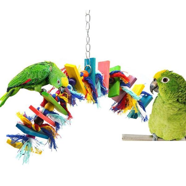 be riotous with colour real parrot wood swing the cage parts pets bird climbing bite toys
be riotous with colour real parrot wood swing the cage parts pets bird climbing bite toys