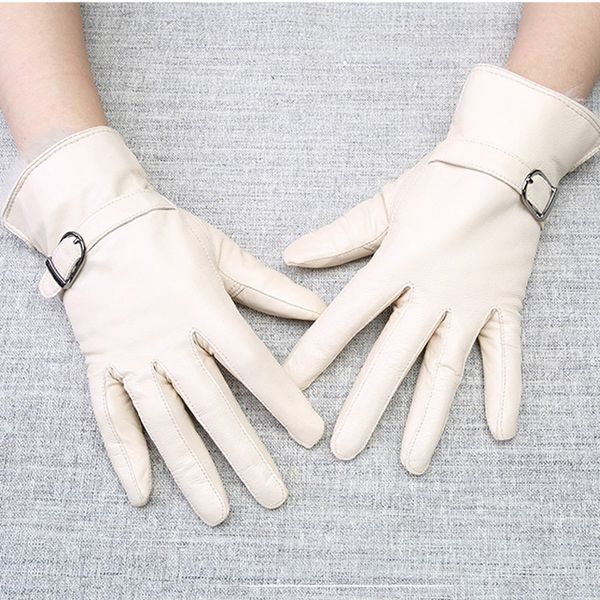 the new selling sheepskin inner fleece lining buckle warm winter women' leather gloves, Blue;gray
the new selling sheepskin inner fleece lining buckle warm winter women' leather gloves, Blue;gray