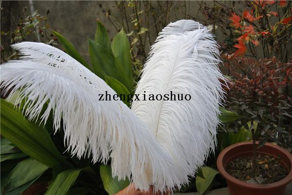 60 pc red 50 55cm 40 pc white 55 60cm o trich feather wedding centerpiece home table centerpiece prom party decor
60 pc red 50 55cm 40 pc white 55 60cm o trich feather wedding centerpiece home table centerpiece prom party decor