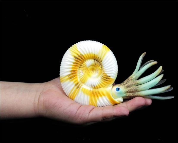 nautilus conch simulation aquarium animal model toy underwater world plastic solid child cognitive gift 2020
nautilus conch simulation aquarium animal model toy underwater world plastic solid child cognitive gift 2020