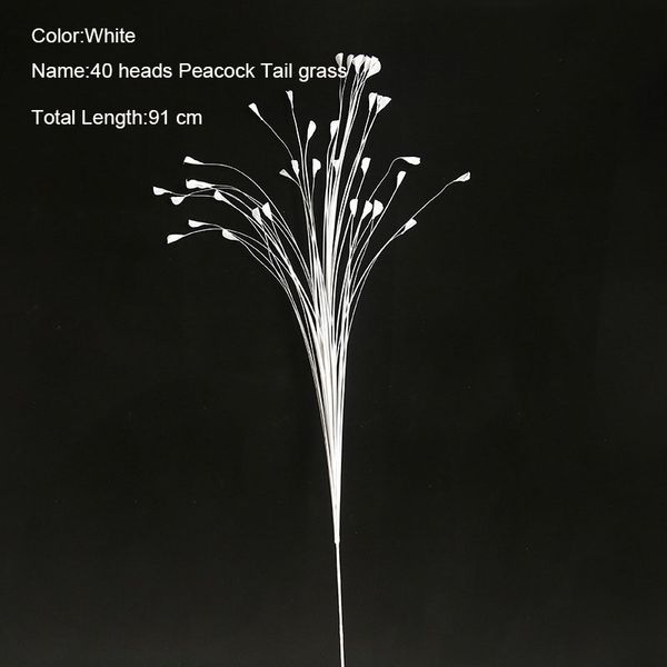 10 pcs/lot artificial plants grass plastic peacock tail grass for home decoration wedding road lead flower wall fake flower 91cm long
10 pcs/lot artificial plants grass plastic peacock tail grass for home decoration wedding road lead flower wall fake flower 91cm long