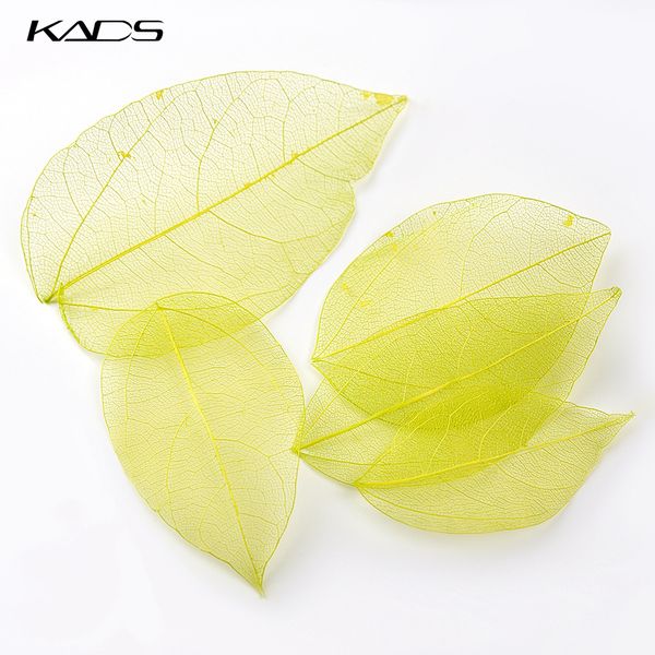 5pcs / bag natural dried leaves 6 color nail decoration stickers decal nail manicure tools nail accessories una, Black
5pcs / bag natural dried leaves 6 color nail decoration stickers decal nail manicure tools nail accessories una, Black