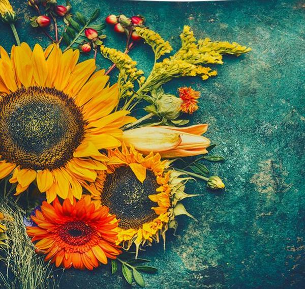 4style 130*150cm sunflower background tapestry decorative painting patchwork wool fabric diy textiles elastic tissu cloth fabric c970, Black;white
4style 130*150cm sunflower background tapestry decorative painting patchwork wool fabric diy textiles elastic tissu cloth fabric c970, Black;white