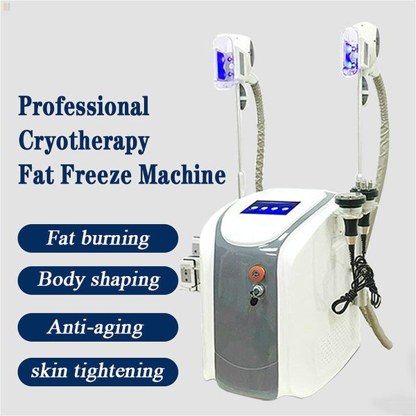 2020 cryolipolysis slimming fat e machine for distributor wanted cryoshape cryotherapy body shaping device on sale
2020 cryolipolysis slimming fat e machine for distributor wanted cryoshape cryotherapy body shaping device on sale