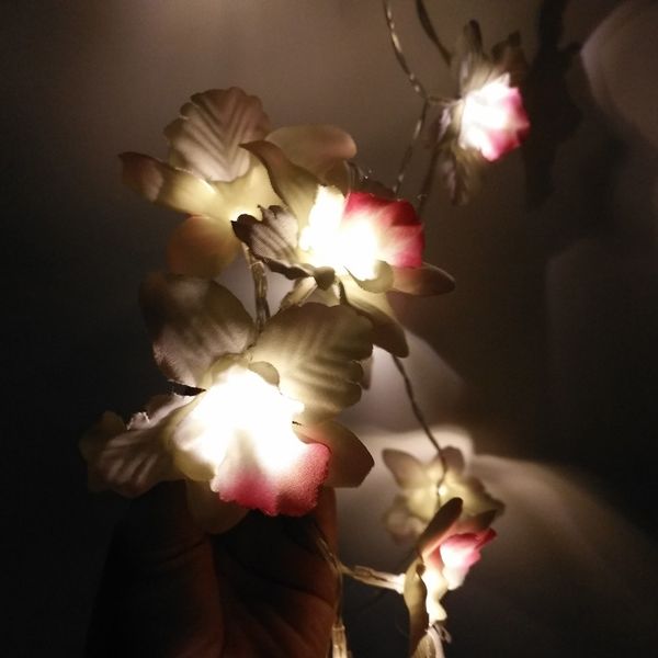 creative light string led wedding christmas decoration light orchid rose wire grid p wall clip string home decor
creative light string led wedding christmas decoration light orchid rose wire grid p wall clip string home decor
