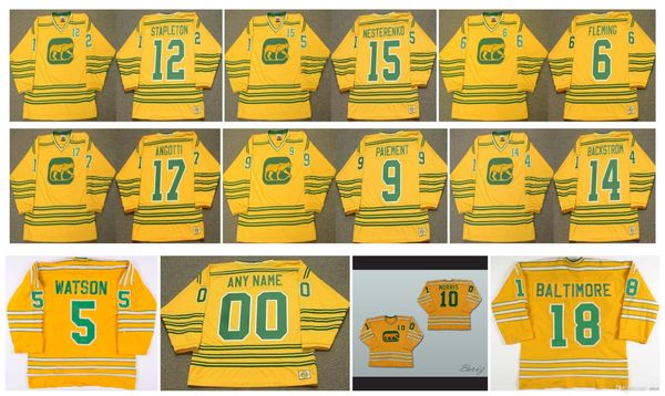 vintage chicago cougars jersey 6 reggie fleming 12 pat stapleton 17 lou angotti 15 eric nesterenko 14 ralph backstrom yellow retro hockey, Black;red
vintage chicago cougars jersey 6 reggie fleming 12 pat stapleton 17 lou angotti 15 eric nesterenko 14 ralph backstrom yellow retro hockey, Black;red