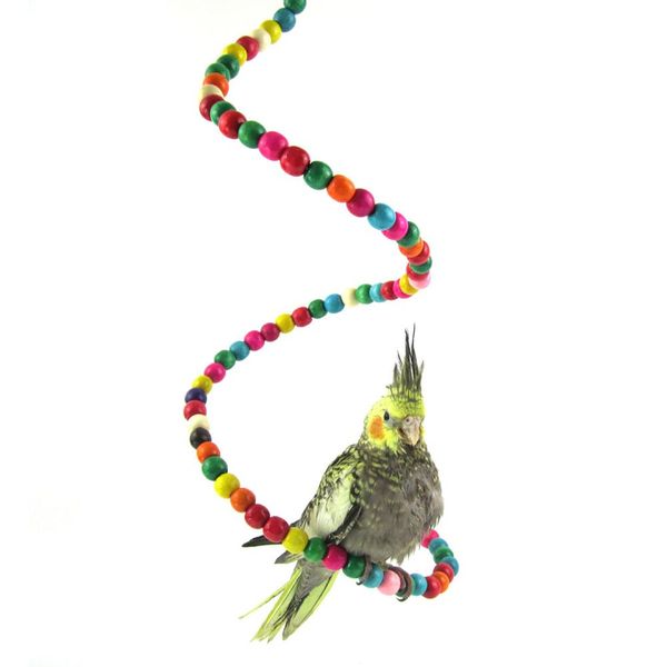 parrots swing toy folding bird chew toy hanging swings cage with colorful beads cage toy decoration bird toys pet supplies
parrots swing toy folding bird chew toy hanging swings cage with colorful beads cage toy decoration bird toys pet supplies