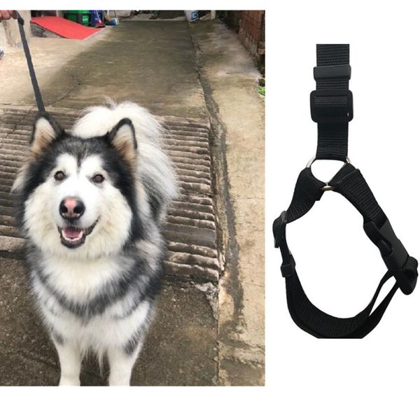 adjustable polypropylene puppy seat belt harness car dog safety rope leash leads safety belt adjustable pet leash
adjustable polypropylene puppy seat belt harness car dog safety rope leash leads safety belt adjustable pet leash