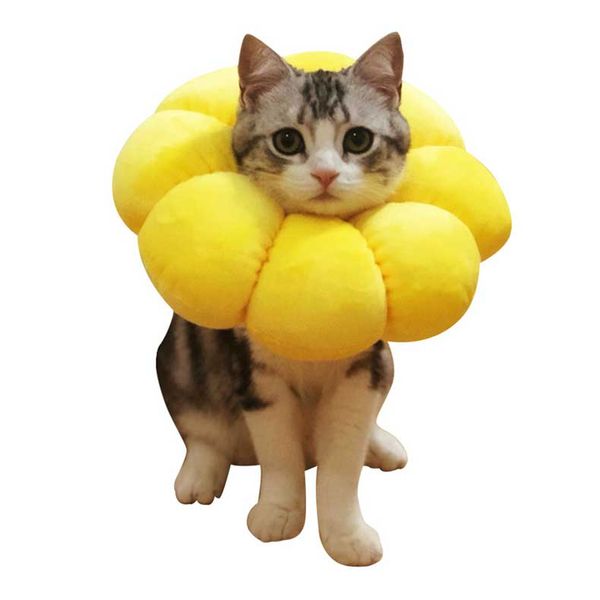 color sun flower sweet gift pet dog cat fun toy petbite prevention licking scratching snare
color sun flower sweet gift pet dog cat fun toy petbite prevention licking scratching snare